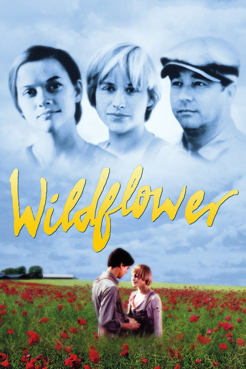 Movie poster for Wildflower (1991)