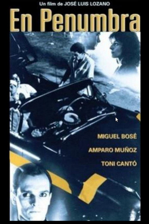 Movie poster for In the Shade (1987)
