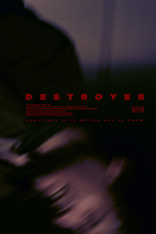 Movie poster for Destroyer (2024)