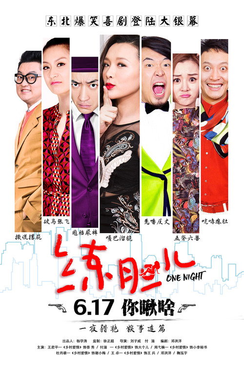 Movie poster for One Night (2016)
