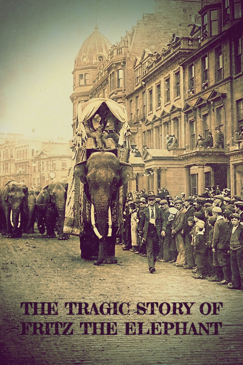 Movie poster for The Tragic Story of Fritz the Elephant (2023)
