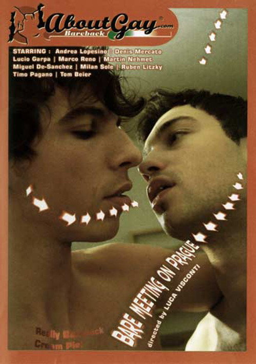 Movie poster for Bare Meeting On Prague (2007)