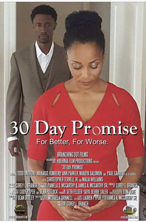 Movie poster for 30 Day Promise (2017)
