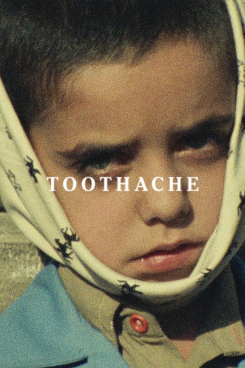 Movie poster for Toothache (1980)