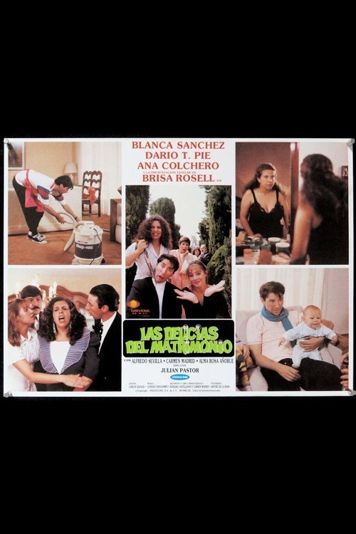 Movie poster for Las delicias del matrimonio (1994)