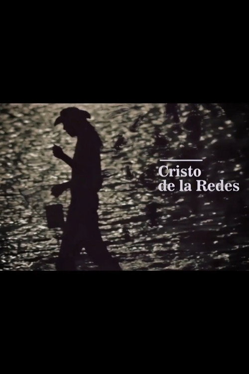 Movie poster for Cristo de las redes (2013)