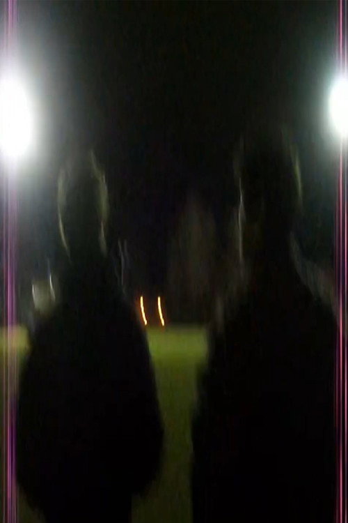 Movie poster for Liminal Space Hunting In Real Life
