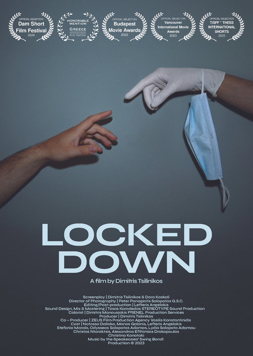 Movie poster for Locked Down