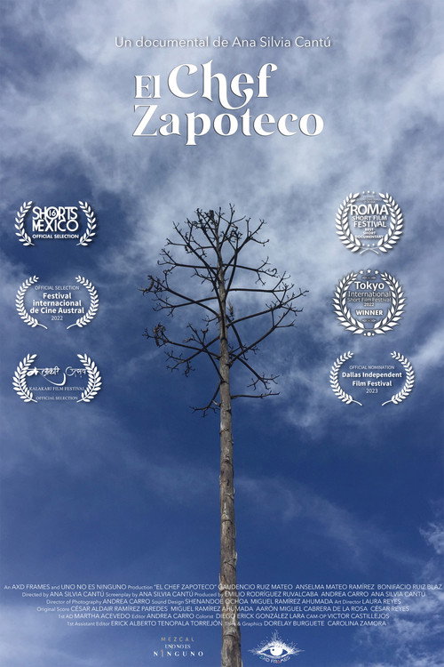 Movie poster for The Zapotec Chef