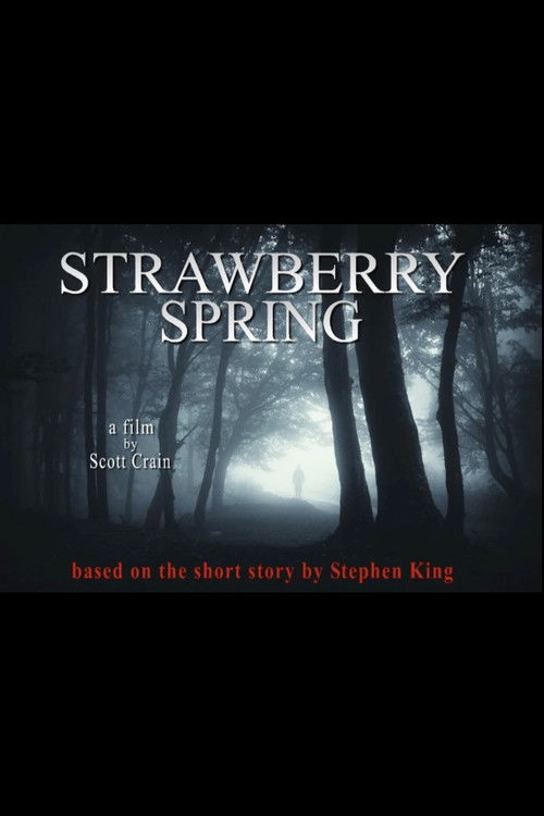 Movie poster for Strawberry Spring (2013)
