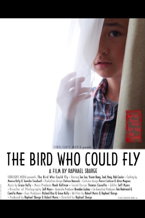 Movie poster for The Bird Who Could Fly (2017)