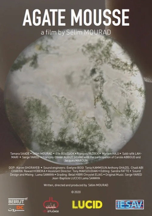 Movie poster for Moss Agate (2021)