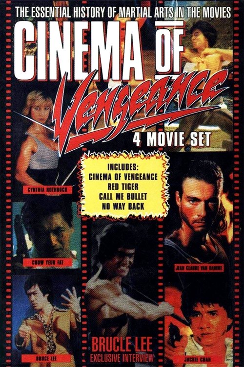 Movie poster for Cinema of Vengeance (1994)