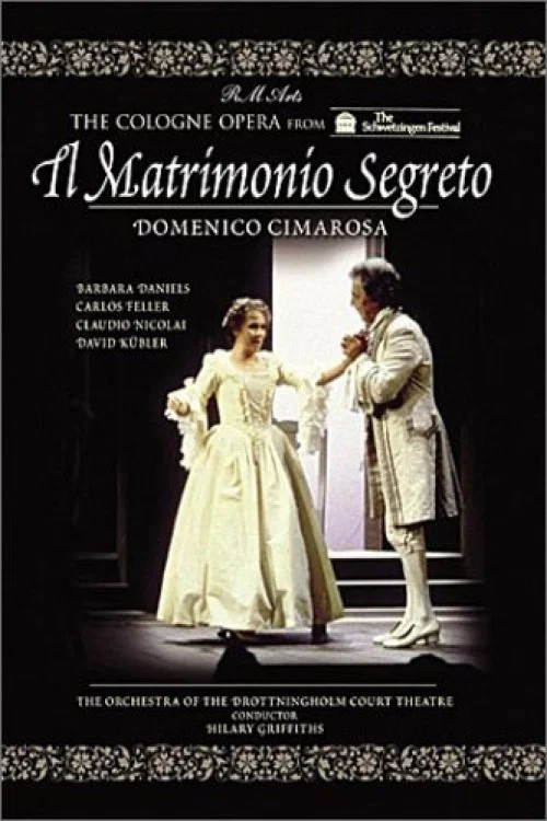 Movie poster for Il Matrimonio Segreto (1986)