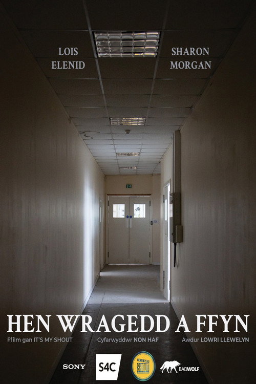 Movie poster for Hen Wragedd a Ffyn (2021)