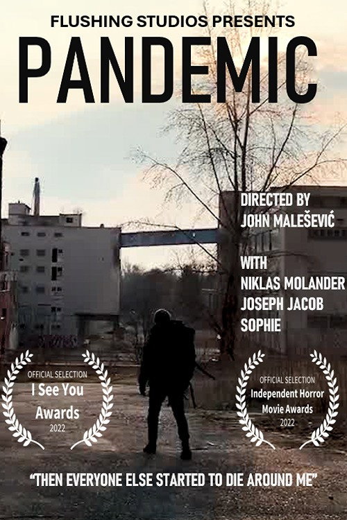 Movie poster for Pandemic