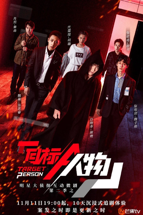 Target Person poster