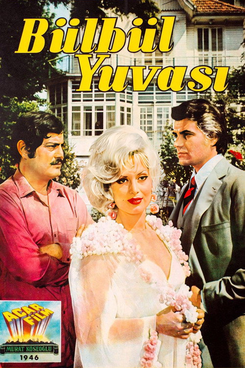 Movie poster for Bülbül Yuvası (1970)