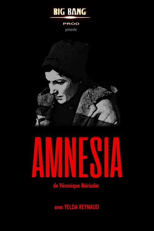 Movie poster for Amnesia (2001)