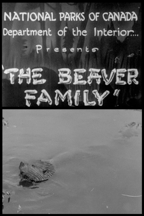 Movie poster for Beaver Family (1929)
