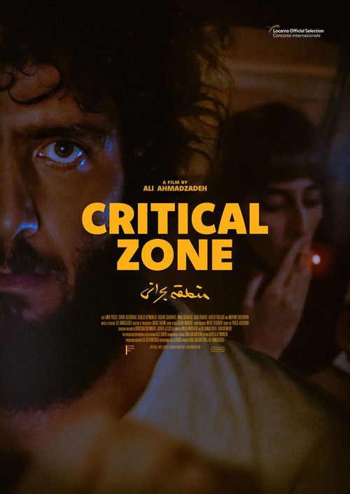 Movie poster for Critical Zone (2024)