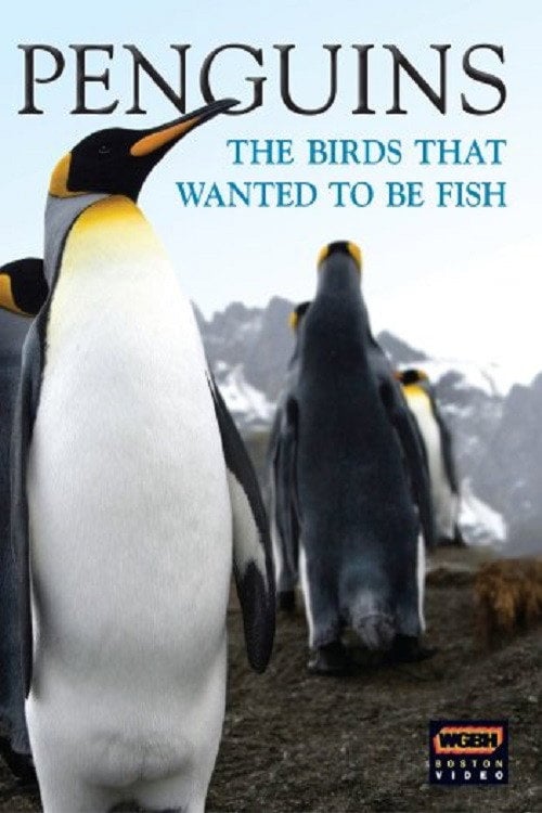 Movie poster for Penguins: The Story of the Bird that wanted to be Fish (2008)