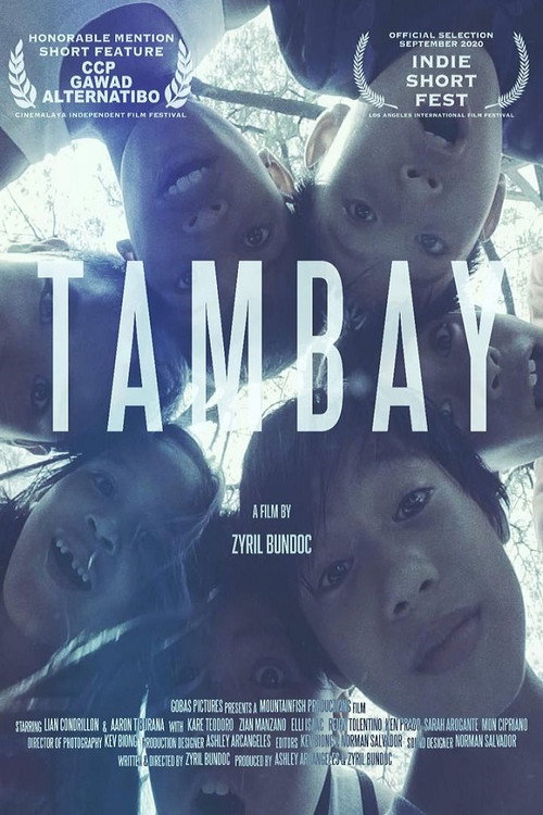 Movie poster for Tambay (2020)