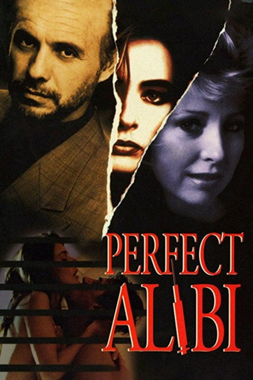 Movie poster for Perfect Alibi (1995)