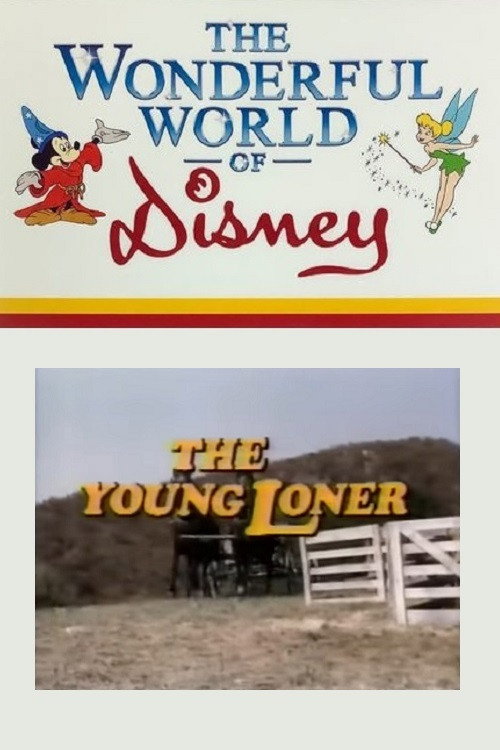 Movie poster for The Young Loner (1968)