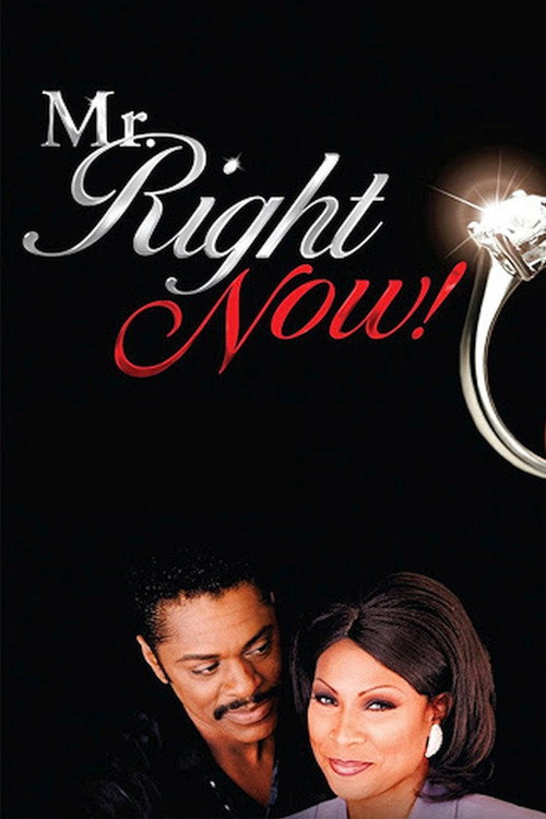 Movie poster for Mr. Right Now! (1999)