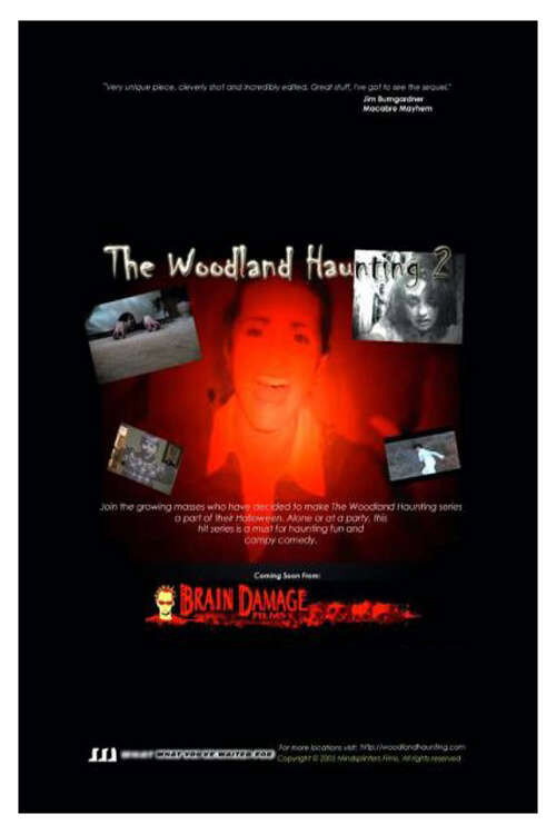 Movie poster for The Woodland Haunting 2 (2006)