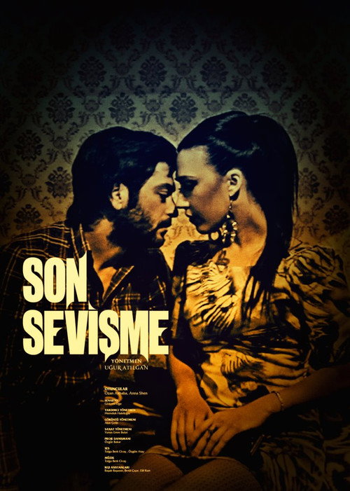 Movie poster for Son Sevişme (2012)