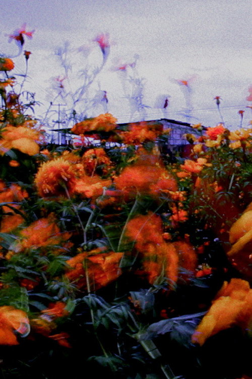 Movie poster for Monet (2022)
