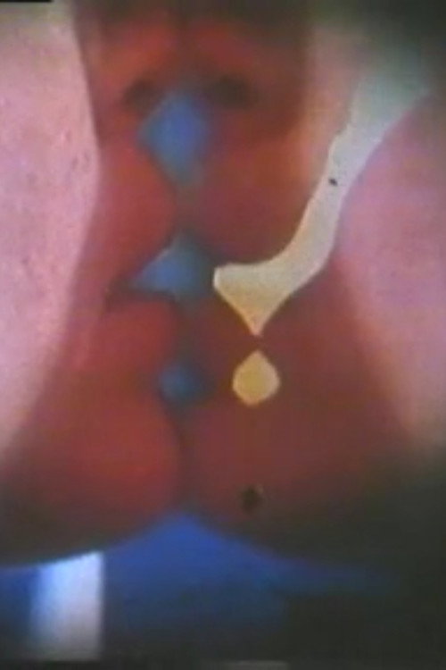 Movie poster for Mirrored Reason (1980)