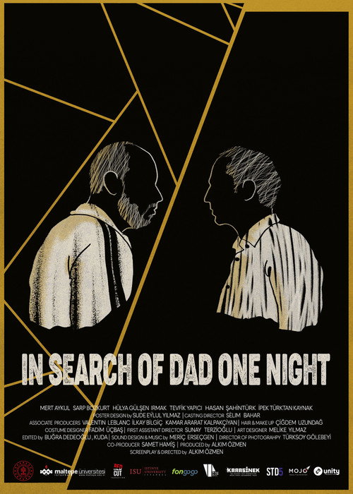 Movie poster for In Search of Dad One Night (2022)