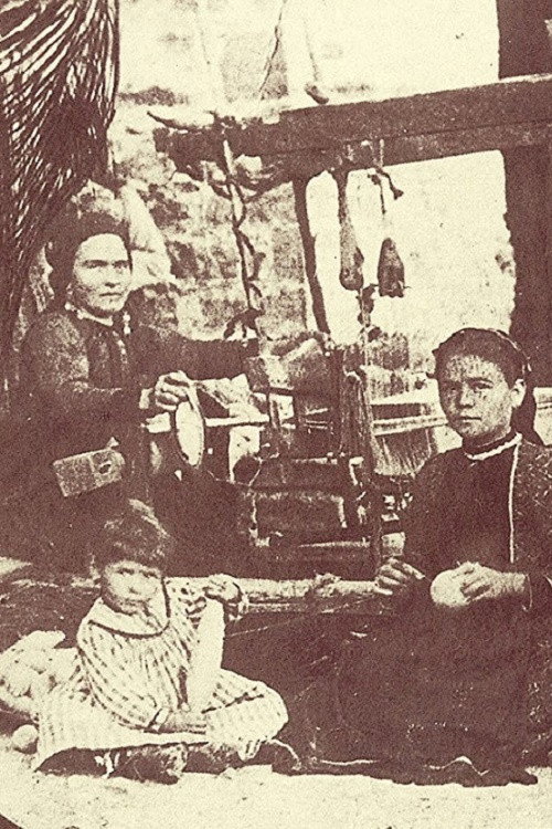 Movie poster for Wallachian Nomads (1905)