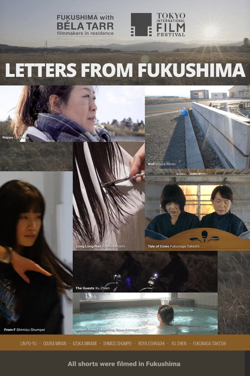 Movie poster for Letters from Fukushima (2025)