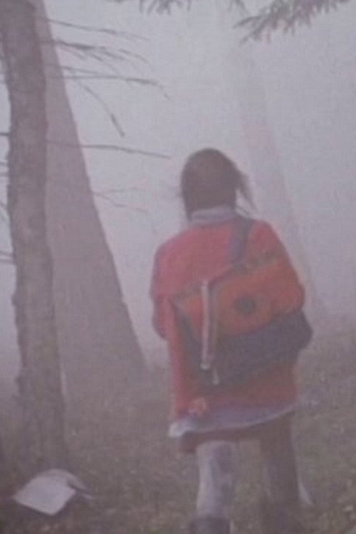 Movie poster for The Girl in the Mist (1997)