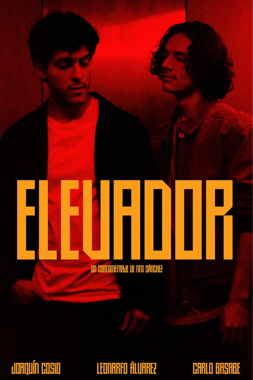 Movie poster for Elevator (2023)