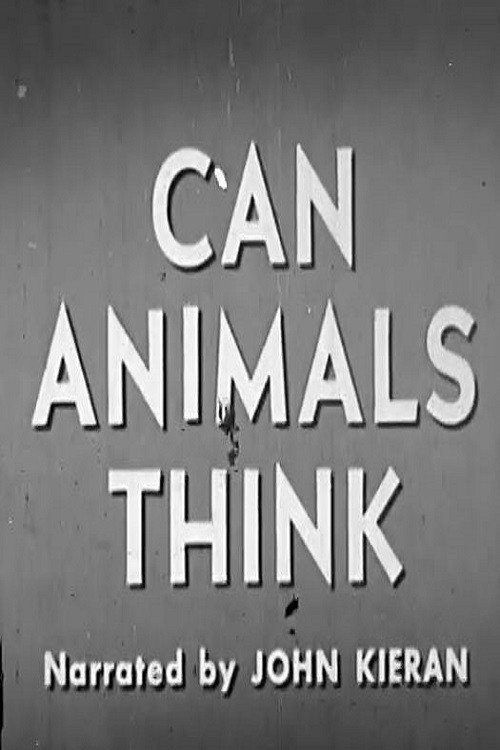 Movie poster for Can Animals Think (1950)