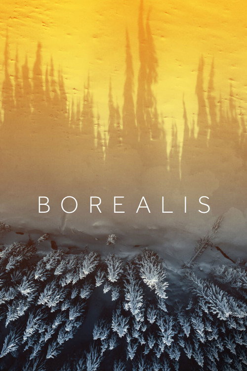 Movie poster for Borealis (2020)