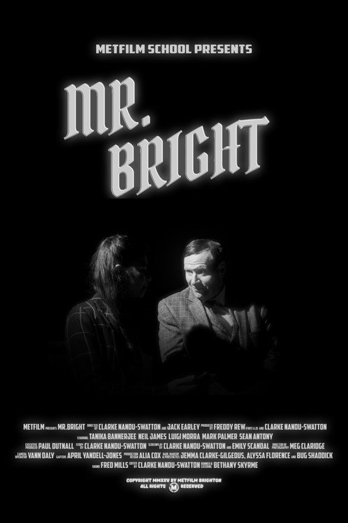 Movie poster for Mr. Bright (2025)