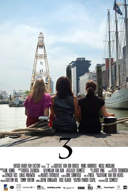 Movie poster for 3 (2009)