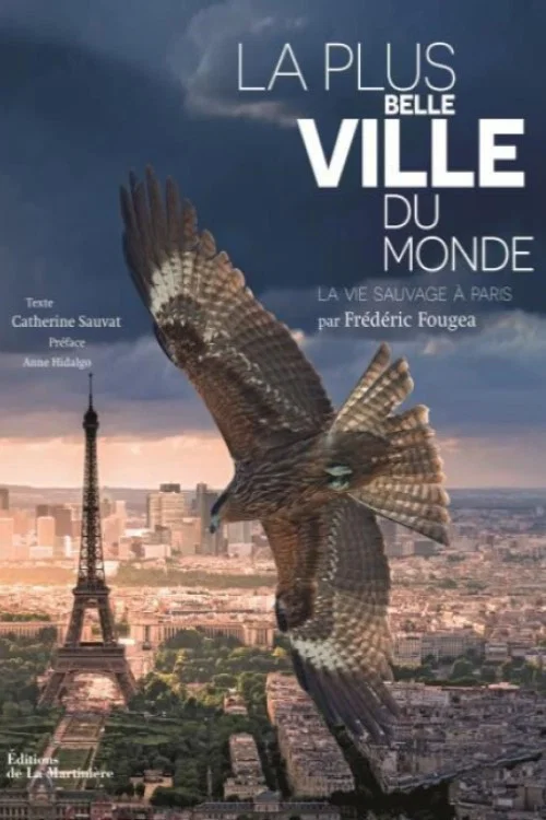 Movie poster for Paris: A Wild Story (2017)