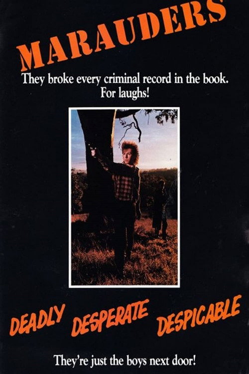 Movie poster for Marauders (1986)