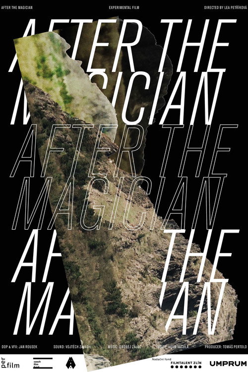 Movie poster for After the Magician (2020)