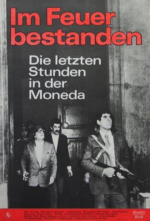 Movie poster for Steadfast in Fire (1978)