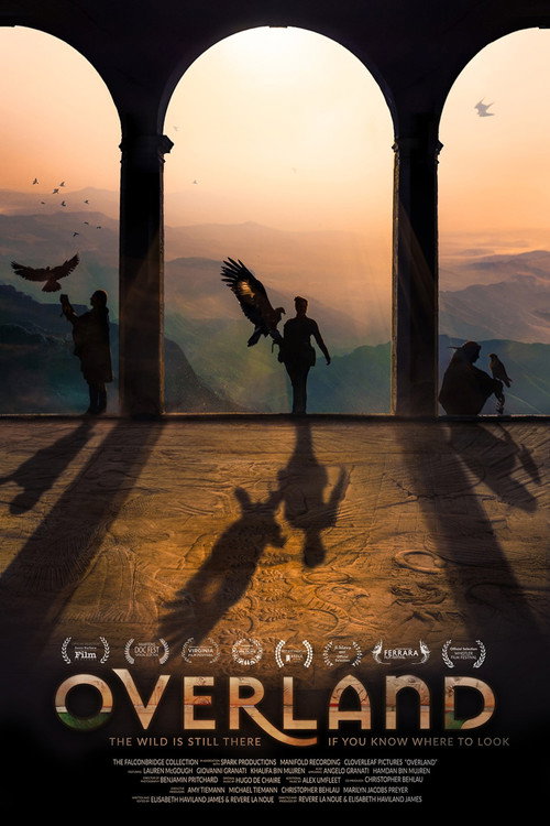 Movie poster for Overland (2020)