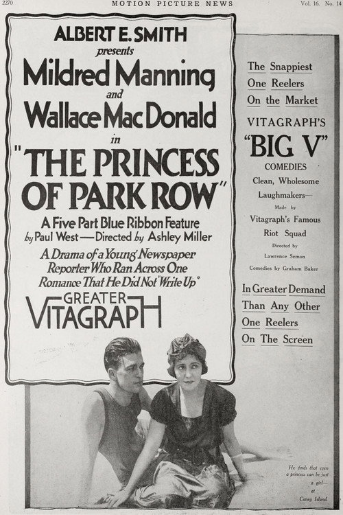 Movie poster for The Princess of Park Row (1917)