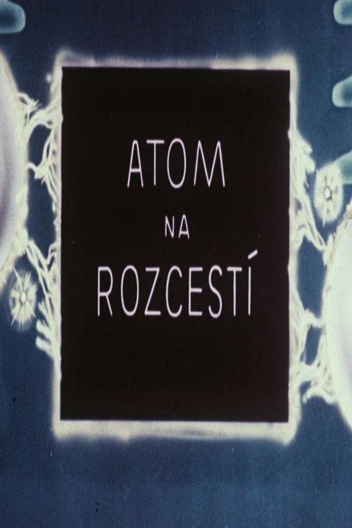 Movie poster for Atom na rozcestí (1947)